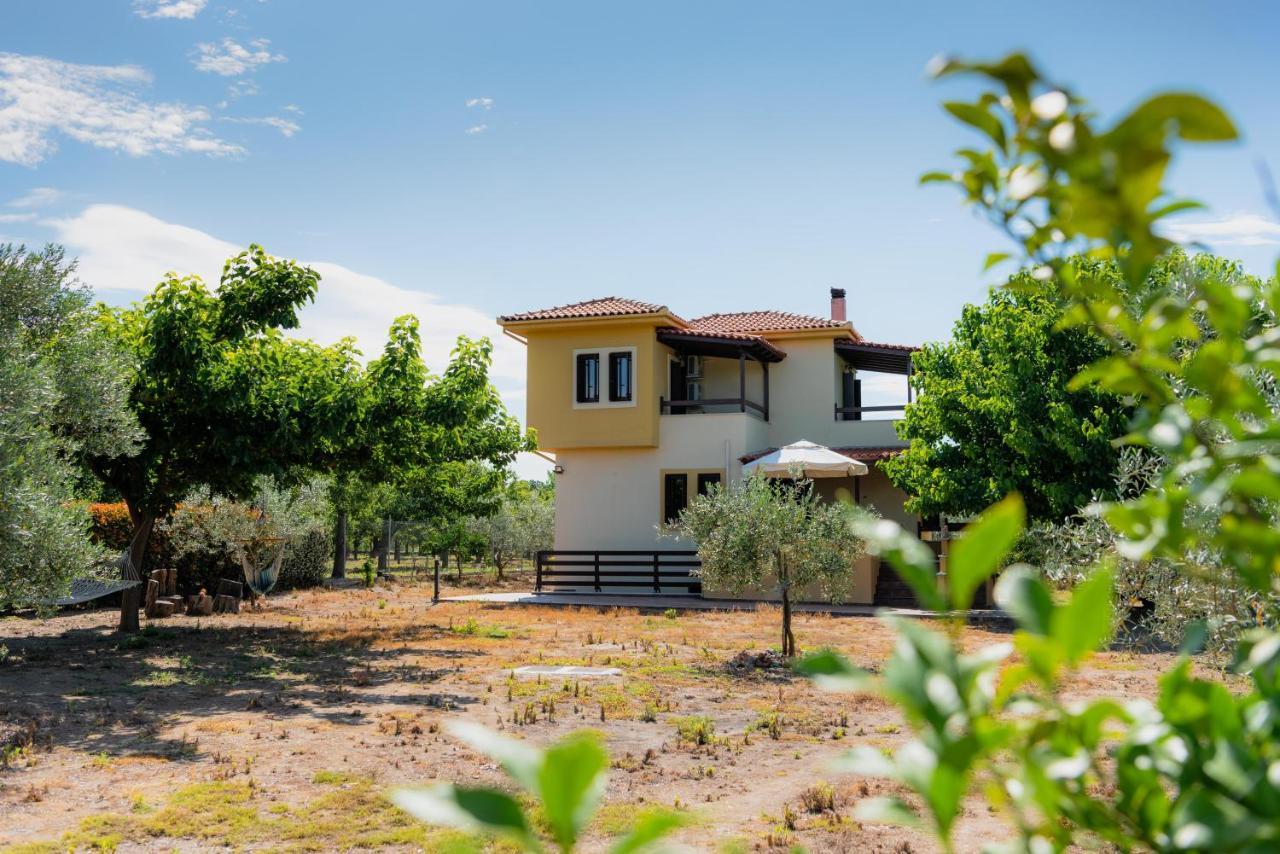 Karavos Grove Villa Káto Lekhónia Екстериор снимка