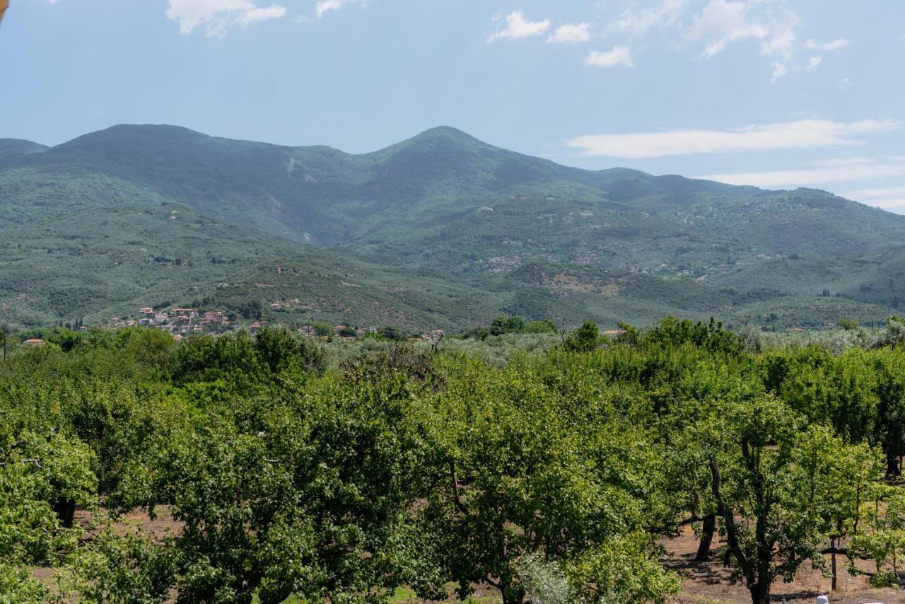 Karavos Grove Villa Káto Lekhónia Екстериор снимка